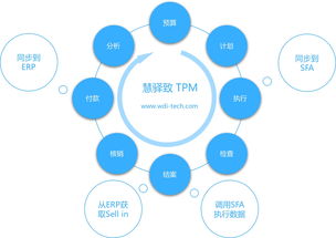 賦能精細化運營 快消品企業(yè)部署專業(yè)費用管理系統(tǒng)的戰(zhàn)略價值與信息咨詢服務